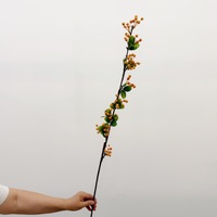 Begoniafruit met bladeren, kleine fruitjes met lange steel, miniatuurappel, tafeldecoratie voor thuis, gastenverblijf en showroom