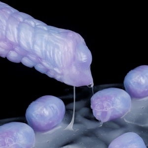 YOCY SEAJADE Juguete Sexual Anal de Fantasía, Dildo Ovipositor, Juguete Sexual de Silicona para Hombres y Mujeres, Masajeador Vaginal y Anal - Product Image 1