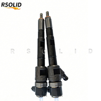 Rsoliddiesel 0445110251 0445110252 0986435125 30637375 30731567 30750282 8603595 Inyector de Combustible de Alta Presión para D5244T D52