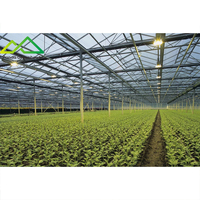 Serre en verre avec système d'éclairage HPS ( Sodium haute pression ) pour culture supplémentaire, durée de vie de 25 000 heures, 150 000 lumens, pour la floraison et la fructification