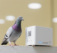 Marca GPS Tracker Racing Pigeons Blanco Ring IP67 Impermeable 4G Red GSM GLONASS Modo Android LBS Aves Palomas