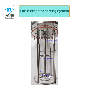 Laboratory Glass <strong>Bioreactor</strong> <strong>Fermenter</strong> Tank for Culture Grow - Product Image 5
