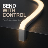 Tira de Luz LED de Silicona para Exteriores, Flexible, Curva en S y con Esquinas, 10x10mm, Emisión Frontal, Epistar, para Delimitación de Edificios, con Control Remoto
