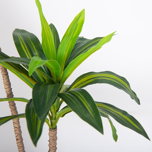 Plantes vertes artificielles, <span class=keywords><strong>Bambou</strong></span> de la Chance à 2 têtes, Lys à bordure dorée, Décoration pour la maison, le salon, la table à manger, 70 cm, Feuilles collées - Product Image 4
