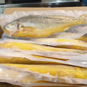 Venta al por mayor salvaje capturado corvina amarilla todo redondo pescado congelado cabeza eviscerado mariscos pedido a granel HGT proveedor entrega - Product Image 6