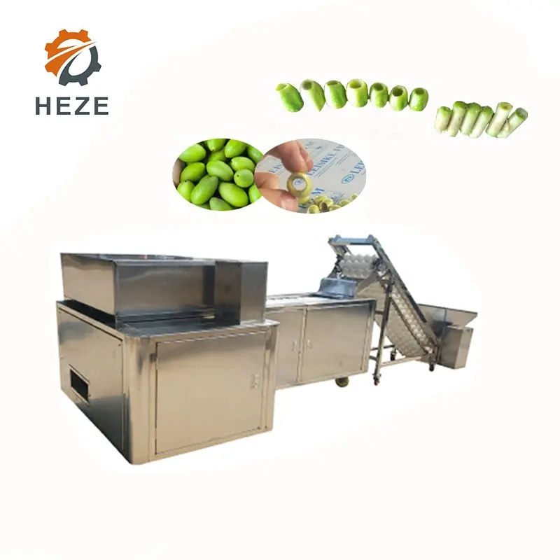 Automatische Olive Pitter Maschine Kommerziellen Auto Oliven Lochfraß Ausrüstung Für Verkauf