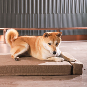 Petstar, venta al por mayor, sofá cama extensible para perros, cubierta extraíble, cama rectangular para mascotas - Product Image 5