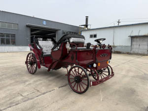 รถม้าไฟฟ้าสไตล์ยุโรปแบบราชวงศ์ สำหรับงานแต่งงาน รถม้าเหล็ก สำหรับเที่ยวชมสถานที่  ยานพาหนะพิเศษ - Product Image 3