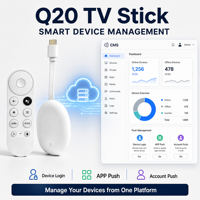 Clé TV Q20 pour service de streaming Android 12 H618 2 Go 16 Go 4K 5G WIFI6 1 pièce MOQ Logo personnalisé Interface utilisateur personnalisable Gestion des appareils CMS Boîtier OEM
