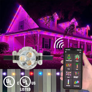 Customized Logo Led Pixel 12V Point <b>Light</b> Source Outdoor Waterproof <b>Christmas</b> <b>Light</b> Rgbw Led Permanent <b>Christmas</b> Lighting - Product Image 5