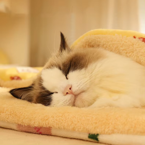 Manta Tejida Personalizada para Mascotas, para Perros y Gatos, para Todas las Estaciones, Ecológica, 100% Poliéster, Tamaño Pequeño, Almohadilla para Dormir - Product Image 6