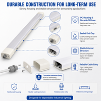 Plafonnier LED IP65 pour environnements humides, 4FT 5FT, largeur étendue, anti-corrosion, résistant aux intempéries, Tri-proof, 110lm/W AC