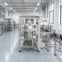 Machine d'emballage ZL-180P entièrement automatique à servo, personnalisable, VFFS, avec pompe à rampe pour liquides et plastiques, pour sacs à scellage arrière, jusqu'à 100 sacs/min