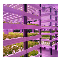 Système de culture hydroponique vertical Sinok Container Farm pour la laitue et les légumes à feuilles vertes, conteneur hydroponique NFT, conteneur pour micro-légumes