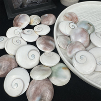 Vente en gros Spécimen de cristal de guérison Coquille de soleil minérale Pierre fossile pour la décoration de la maison