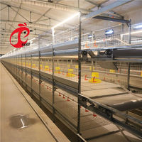 Conception de poulailler ferme avicole avec cage de poulet de couche au Nigeria Philippines