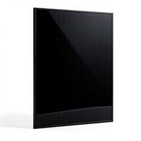 Panneaux solaires en verre trempé personnalisés 200W 24V 36V 48V, étanches IP68, entièrement noirs, modules PV rigides mono pour système solaire hors réseau