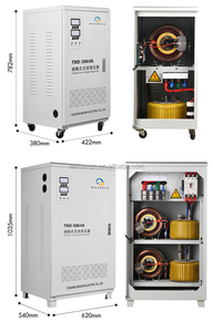 Tự động một pha SVC <span class=keywords><strong>servo</strong></span> điều khiển động cơ tnd mô hình 220V Đầu Ra 50Hz ổn định với vật liệu nhôm Đồng - Product Image 2