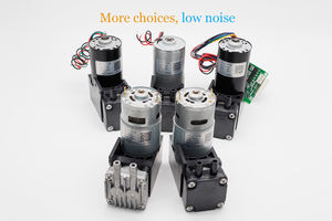 5 Bar Pompa Pneumatik Mikro Kompresor Pompa Udara untuk Ondas De Choque Shock Wave Kesehatan - Product Image 6