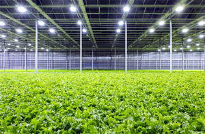 โครงการแบบครบวงจรเรือนกระจกอัตโน<span class=keywords><strong>ม</strong></span>ัติเต็<span class=keywords><strong>ม</strong></span>รูปแบบ<span class=keywords><strong>เร</strong></span>ือนกระจกตั<span class=keywords><strong>ด</strong></span>แสง<span class=keywords><strong>เร</strong></span>ือนกระจก - Product Image 3