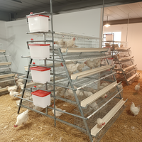 Cage à poules automatique de type A économique pour l'élevage de poules pondeuses