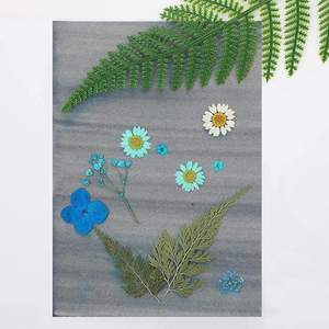 Papel de dibujo Solar A5 para niños y adultos, Impresión de Naturaleza de sensibilidad, artesanía artesanal - Product Image 6