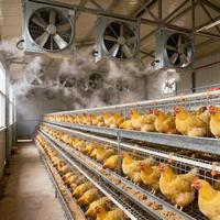 Ventilateur d'extraction à flux axial industriel de 50 pouces/56 pouces 50Hz 220v/380v Ventilation à grand flux d'air personnalisée pour serre de ferme avicole
