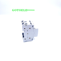 GOTOELE MCB SPD 2P Tipo OVBR BT2 20KA 220V 50/60Hz Montaje en Riel Uso Industrial Capacidad de Ruptura de 10kA Protección LSIG