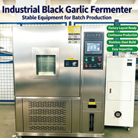 Machine à fermenter l'ail noir avec revêtement interne en acier inoxydable, prolongeant la durée de vie de la machine et réduisant les coûts de remplacement