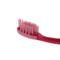 Brosse à dents en plastique, poils en nylon moyens, gratte-langue, masseur pour adultes, étiquette et emballage OEM ODM, usine de brosses à dents