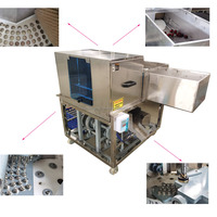Dadels Fruit Pitting Machine Dadelpalmzaden Kernel Verwijderen Machine Core Remover Prijs Te Koop