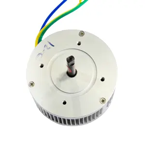 Fabricage 500-1000W Bldc Motor Met Klanten Specificatie, Oem Borstelloze Gelijkstroommotor