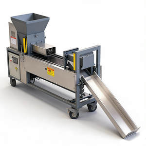 Machine <span class=keywords><strong>de</strong></span> fabrication <span class=keywords><strong>de</strong></span> blocs <span class=keywords><strong>de</strong></span> culture <span class=keywords><strong>de</strong></span> champignons Satrise, mélangeur <span class=keywords><strong>de</strong></span> substrat et ensacheuse - Product Image 4