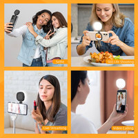 Lampe à selfie magnétique pour téléphone, lampe de maquillage LED réglable, éclairage portable extérieur avec miroir intégré, lumière d'appoint Tofu