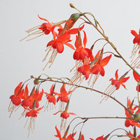 Fournisseur d'usine : Nouvelle branche de fleur de fuchsia artificielle, simulation de fleur de fuchsia suspendue en soie pour l'aménagement de fermes et de maisons, vente en gros