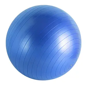 कस्टम लोगो के साथ उच्च गुणवत्ता वाले पर्यावरण-अनुकूल पीवीसी योग बॉल्स 55 सेमी 65 सेमी 75 सेमी गोल व्यायाम/फिटनेस बॉल्स नॉन-स्लिप मैट सतह