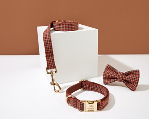 Christmas Plaid <b>And</b> Leash Bow <b>Tie</b> Set, Personalised Scotland <b>Green</b> Tartan Puppy , Free Name Engraved Dog Bowtie Collar - Product Image 2