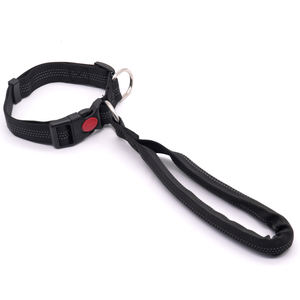 Collar Ajustable de Nailon para Perro con Correa, Diseño de Encaje Sólido, Ecológico, 130CM, para Perros Grandes, Uso en Exteriores - Product Image 5