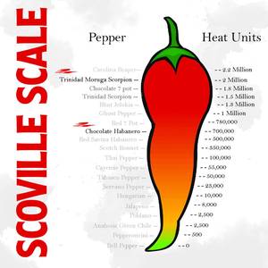 Kit <span class=keywords><strong>de</strong></span> Cultivo Hidropónico <span class=keywords><strong>de</strong></span> Cubos <span class=keywords><strong>de</strong></span> Chile Certificado por la USDA OMRI, Caja <span class=keywords><strong>de</strong></span> Papel <span class=keywords><strong>de</strong></span> Lujo Todo <span class=keywords><strong>en</strong></span> Uno, Regalo Ecológico <span class=keywords><strong>de</strong></span> Venta Caliente, Cultivo <span class=keywords><strong>de</strong></span> Pimientos <span class=keywords><strong>en</strong></span> Casa y Jardín - Product Image 5