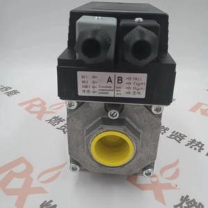 CG225R01-VT2WF1, le numéro de commande 84741254, actionneur d'amortisseur pour KromSchroder - Product Image 5