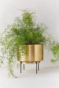 Grand pot en métal sur pied pour plantes décoratives d'intérieur, entrée de maison et présentation intérieure commerciale - Product Image 2