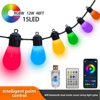 Guirlande lumineuse LED Magic Color Étanche IP65 Plastique Plug-In Lumières décoratives pour Noël Cour Camping Atmosphère