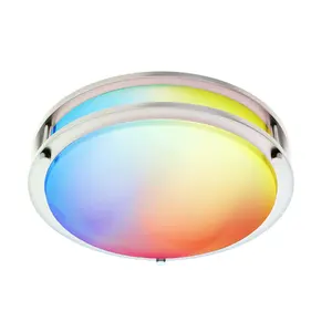 10 Inch Smart RGBW WiFi Flush Mount LED Ceiling Light Fixture Compatible with Alexa & Google Home, Damp Location, ETL