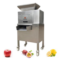 Zaad En Pulp Scheiding Crush Passievrucht Extract Kokosmelk Dubbele Roller Juicer Knoflooksap Knijpmachine