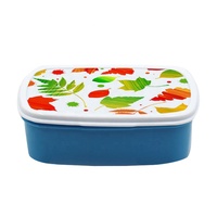 Boîte à déjeuner de conception personnalisée OEM pour enfant, promotion de retour à l'école, boîte à nourriture vierge par Sublimation