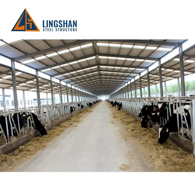 Yüksek kaliteli tasarım hafif çelik yapı süt çiftlik barakası sığır ev ahır yapı düşük maliyetli fiyatlar