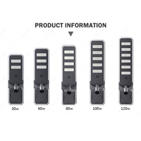 Lampadaire solaire LED monocristallin en silicium MPPT à économie d'énergie IP66 30W 60W 80W 100W