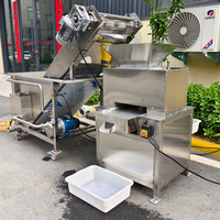 SAIDASHI Industriële Fruitpersmachine Met Verstelbare Rolleropening SUS304 Behuizing voor Citroen, Sinaasappel en Passievrucht