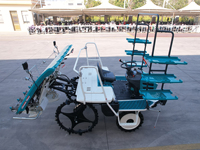 Transplanteuse de riz haute vitesse, machine à repiquer les semis de riz 6 rangs, 8 rangs