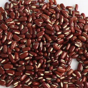 Chinese Dried Small Red Bean Chi Xiao Dou Long Shape Beans Red Bamboo Beans